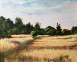 Dlouhé ranní stíny 50x60